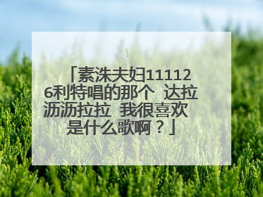 素洙夫妇111126利特唱的那个 达拉沥沥拉拉 我很喜欢 是什么歌啊？