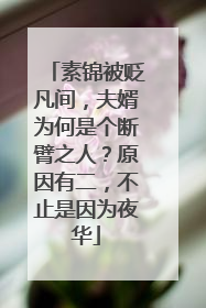 素锦被贬凡间，夫婿为何是个断臂之人？原因有二，不止是因为夜华