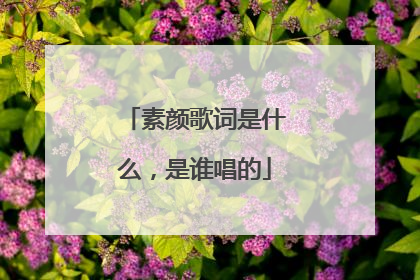 素颜歌词是什么，是谁唱的