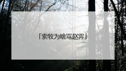 索牧为啥骂赵霁