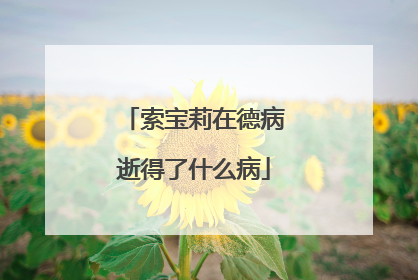 索宝莉在德病逝得了什么病