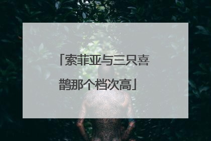 索菲亚与三只喜鹊那个档次高