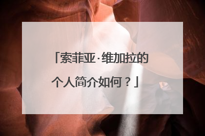 索菲亚·维加拉的个人简介如何？