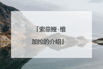 索菲娅·维加拉的介绍