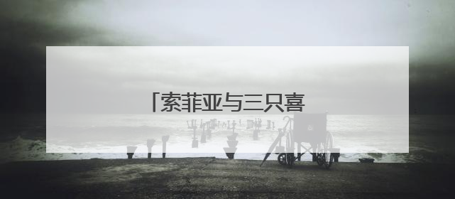 索菲亚与三只喜鹊那个档次高