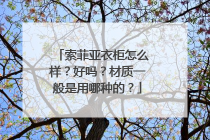 索菲亚衣柜怎么样？好吗？材质一般是用哪种的？
