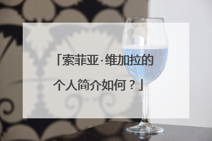 索菲亚·维加拉的个人简介如何？