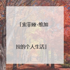 索菲娅·维加拉的个人生活
