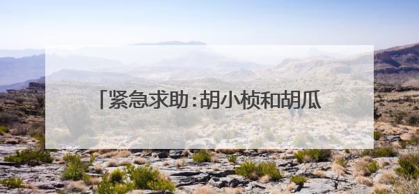 紧急求助:胡小桢和胡瓜什么关系?她老公是谁?