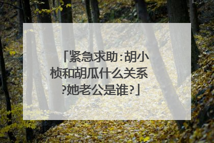 紧急求助:胡小桢和胡瓜什么关系?她老公是谁?