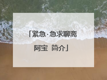 紧急·急求聊斋 阿宝 简介