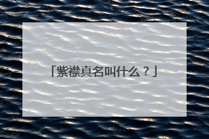 紫襟真名叫什么？