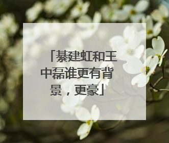 綦建虹和王中磊谁更有背景，更豪