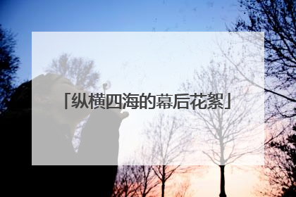 纵横四海的幕后花絮