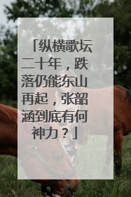 纵横歌坛二十年,跌落仍能东山再起,张韶涵到底有何神力?