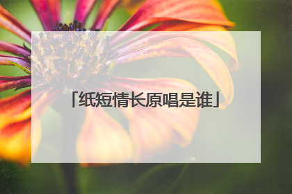 纸短情长原唱是谁