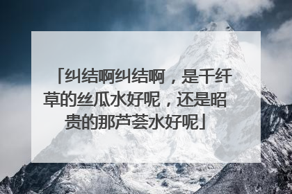 纠结啊纠结啊,是千纤草的丝瓜水好呢,还是昭贵的那芦荟水好呢
