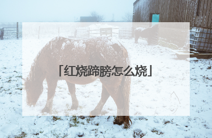 红烧蹄膀怎么烧