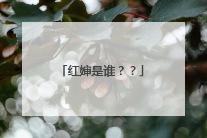 红婶是谁？？