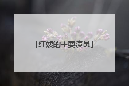 红嫂的主要演员