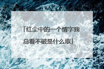 红尘中的一个情字我总看不破是什么歌