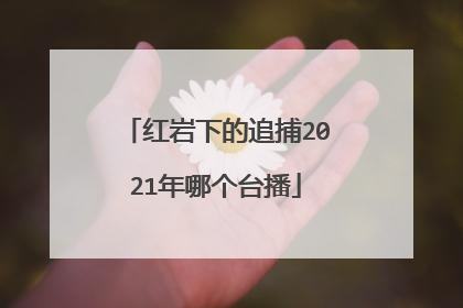 红岩下的追捕2021年哪个台播