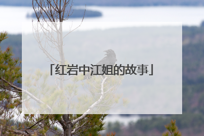 红岩中江姐的故事