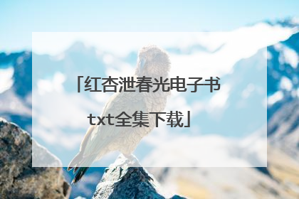 红杏泄春光电子书txt全集下载