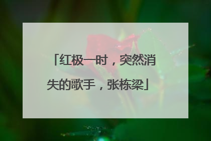 红极一时，突然消失的歌手，张栋梁