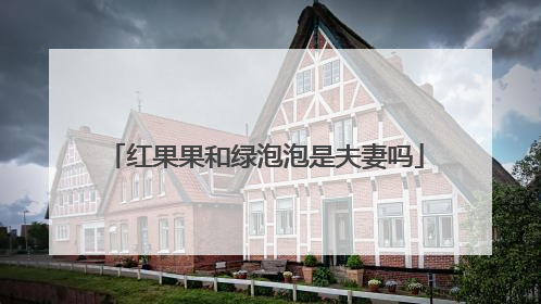 红果果和绿泡泡是夫妻吗