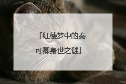 红楼梦中的秦可卿身世之谜