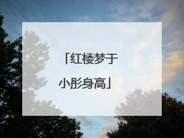 红楼梦于小彤身高