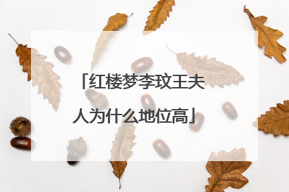 红楼梦李玟王夫人为什么地位高