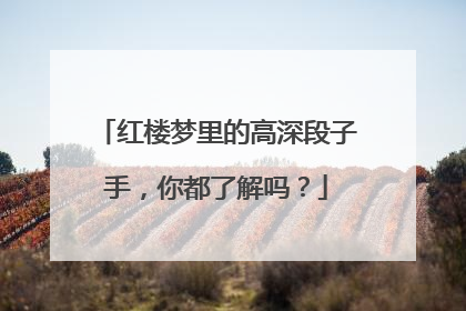 红楼梦里的高深段子手，你都了解吗？