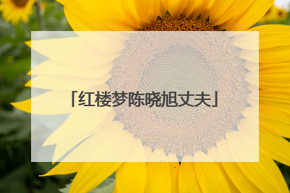 红楼梦陈晓旭丈夫