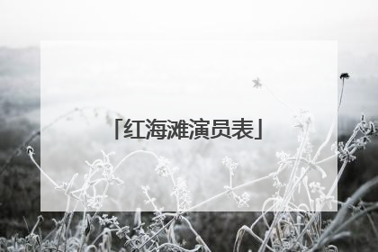 红海滩演员表