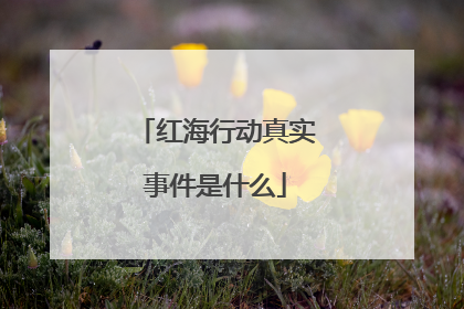 红海行动真实事件是什么