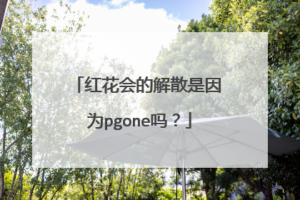 红花会的解散是因为pgone吗?