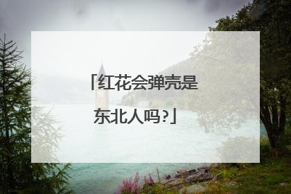 红花会弹壳是东北人吗?