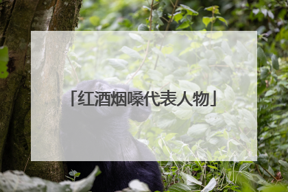 红酒烟嗓代表人物