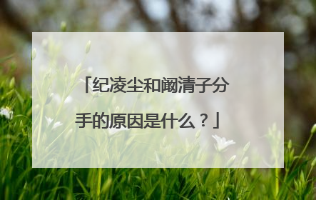 纪凌尘和阚清子分手的原因是什么?