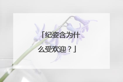 纪姿含为什么受欢迎?