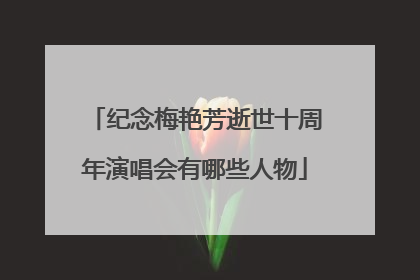 纪念梅艳芳逝世十周年演唱会有哪些人物