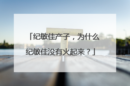 纪敏佳产子,为什么纪敏佳没有火起来?