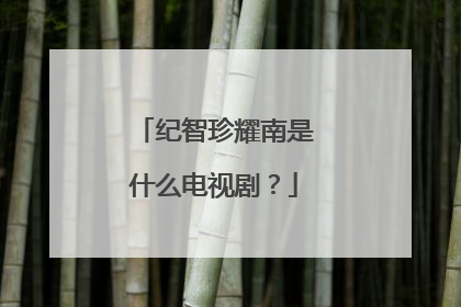 纪智珍耀南是什么电视剧?