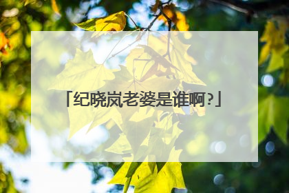 纪晓岚老婆是谁啊?