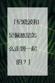 纪晓波和吴佩慈是怎么走到一起的？