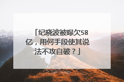 纪晓波被曝欠58亿,用何手段使其说法不攻自破?