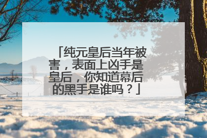 纯元皇后当年被害，表面上凶手是皇后，你知道幕后的黑手是谁吗？