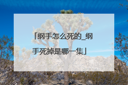 纲手怎么死的_纲手死掉是哪一集